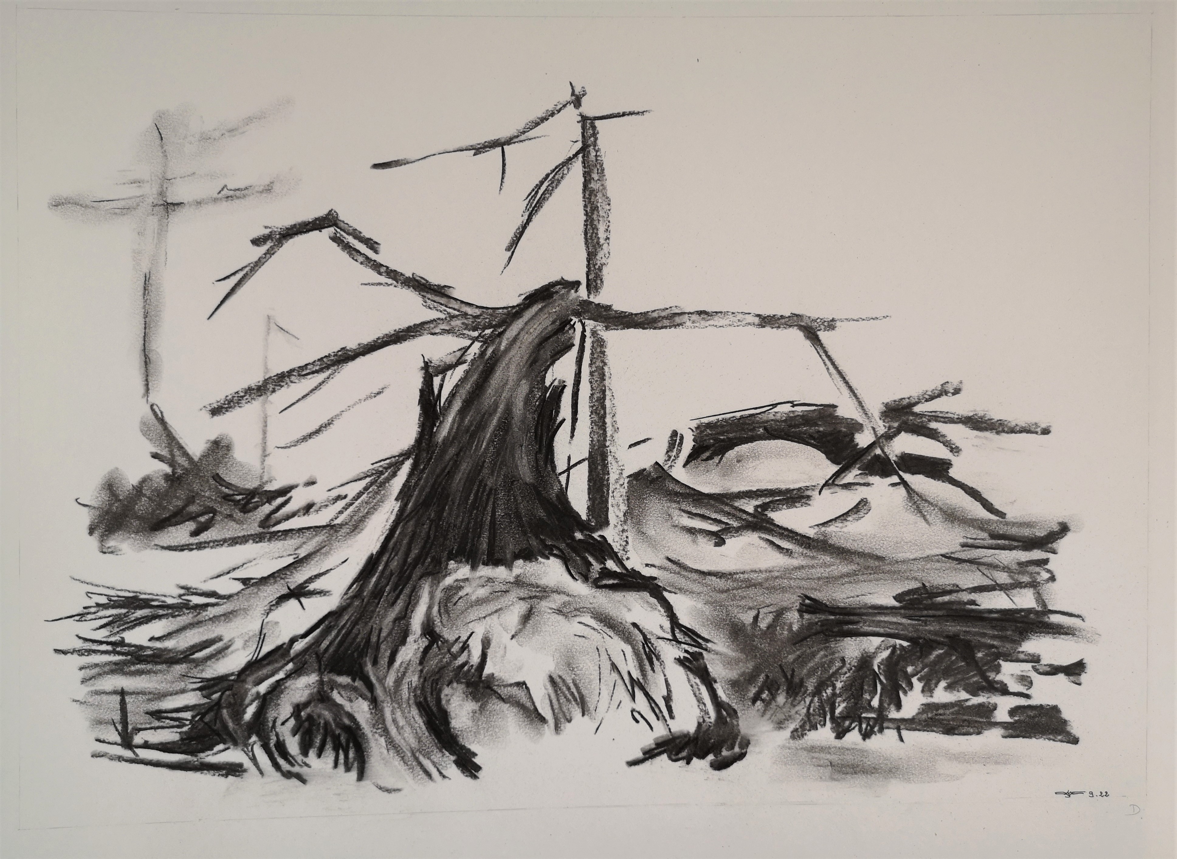 09 2022 d 65 x 50