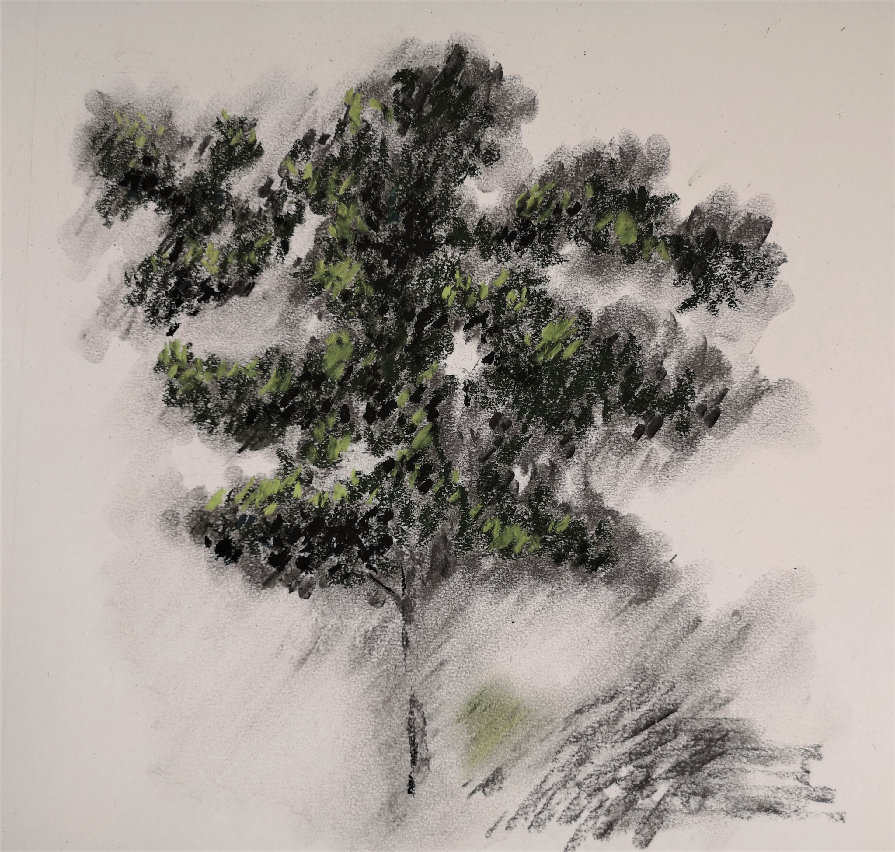 10 2022 a 50 x 50