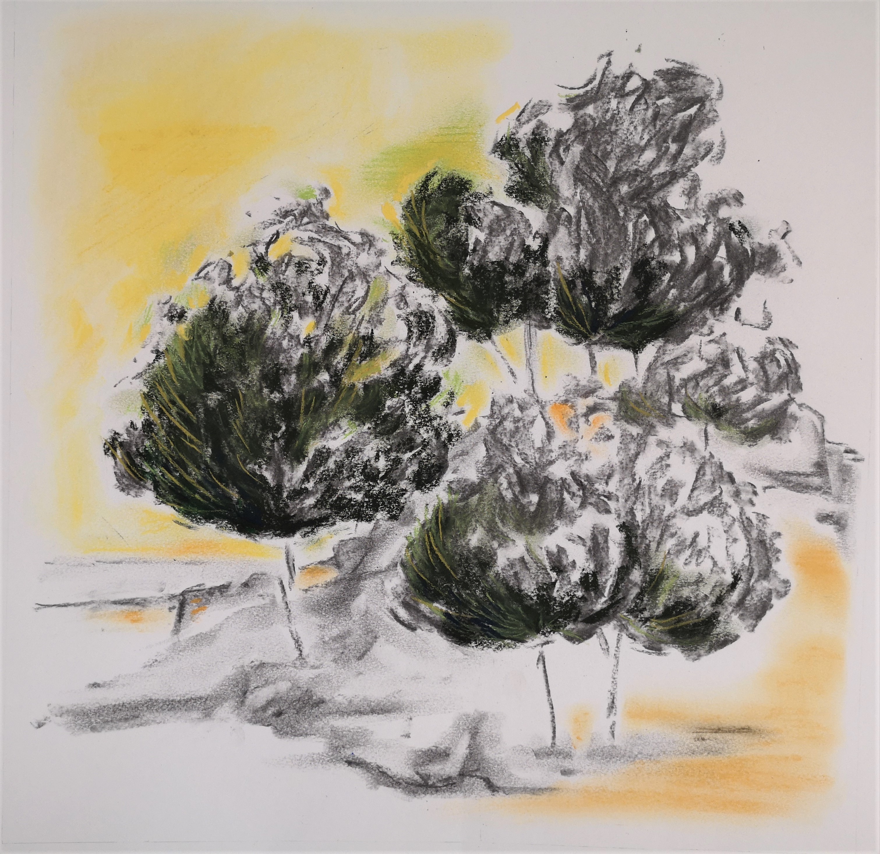 10 2022 b 50 x 50
