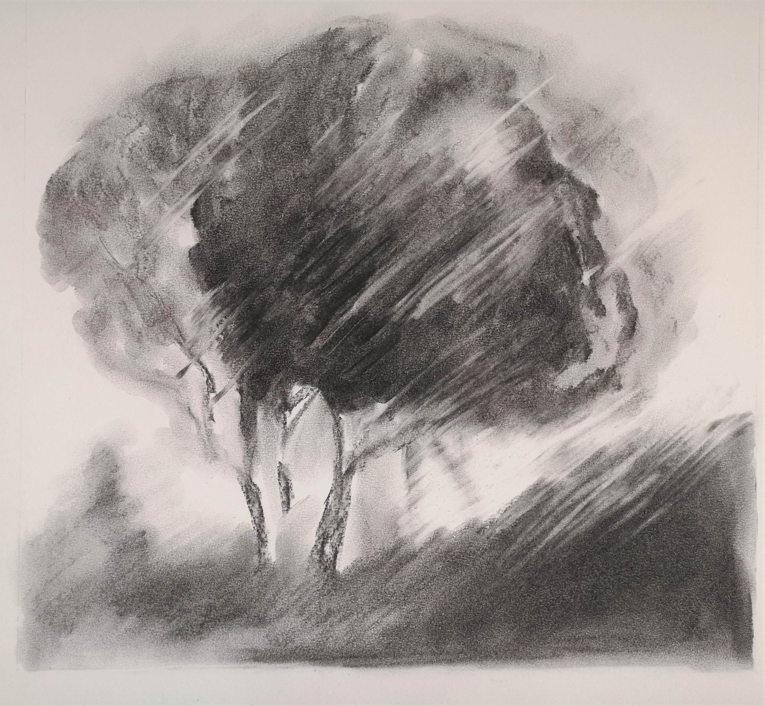 10 2022 d 50 x 50