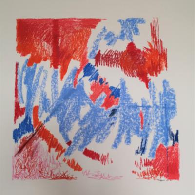 50 cm x 50 cm